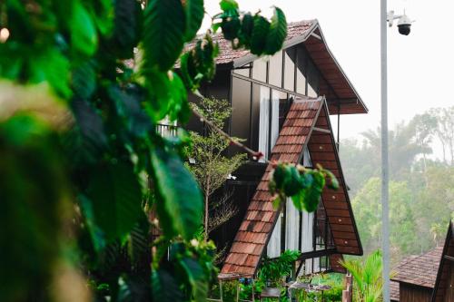 wood panda luxury resort wayanad