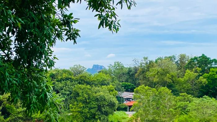 aloria sigiriya