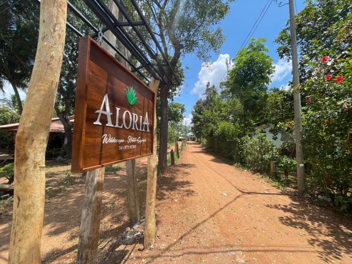 aloria sigiriya