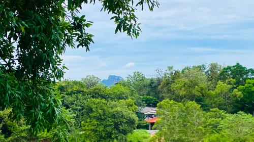 aloria sigiriya