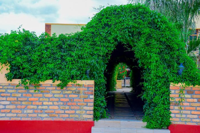 the residence hotel dodoma