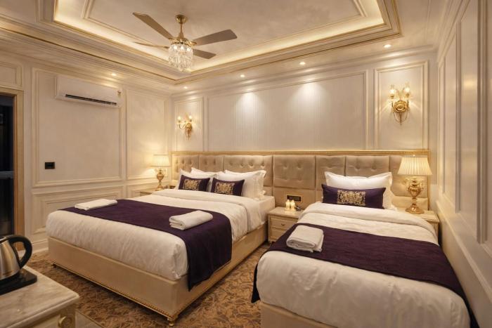 narayana grand hotel