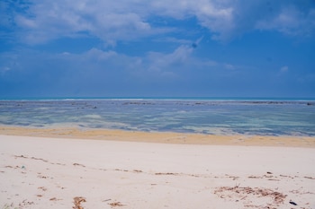 sea eagle oceanfront