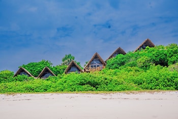 sea eagle oceanfront