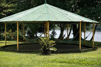 ilan ilan tortuguero