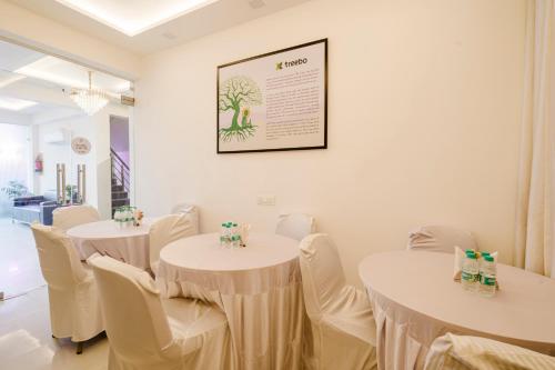 treebo premium inn 62