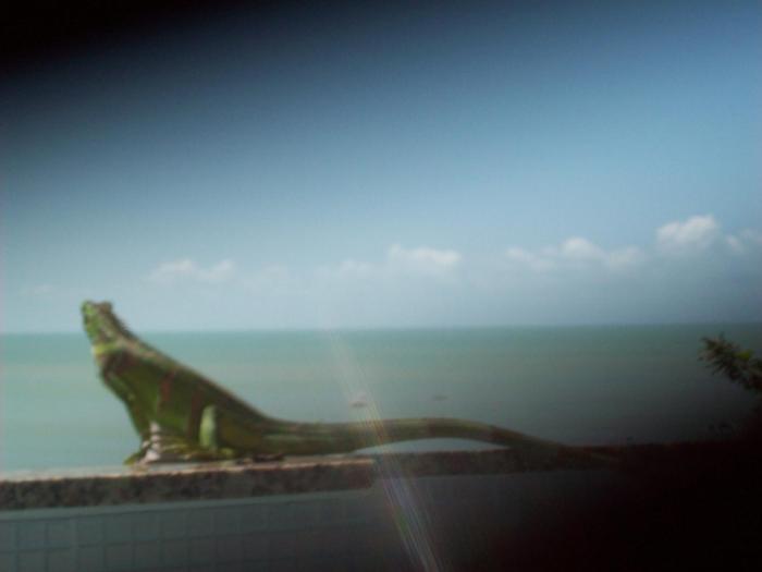 hotel pousada estacao do sol natal
