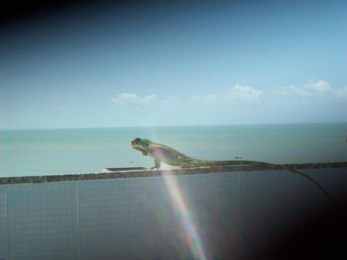 hotel pousada estacao do sol natal
