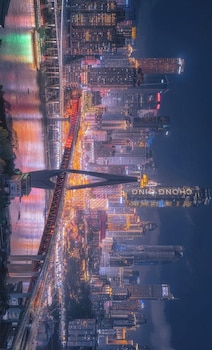 nostalgia hotel chongqing hongyadong