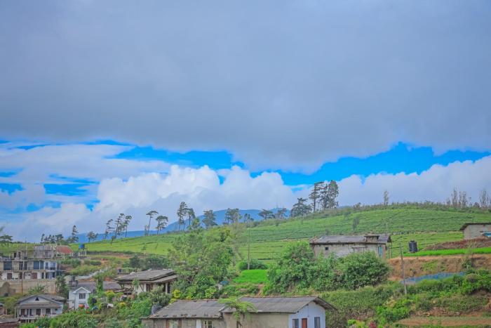 nuwara eliya