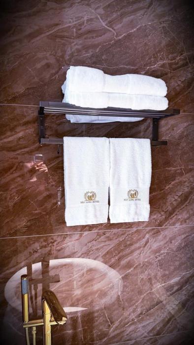 bao long lao cai hotel