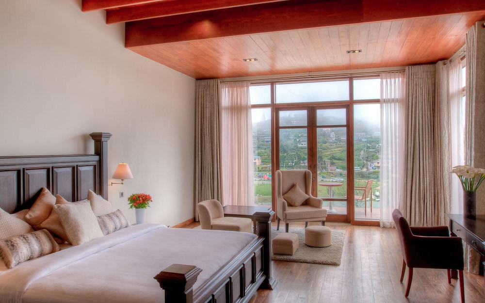 tea plant nuwara eliya