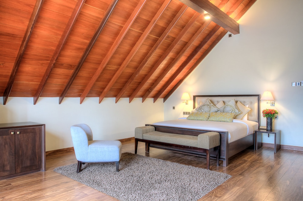 tea plant nuwara eliya