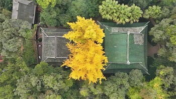 nanyuan gusu boutique inn