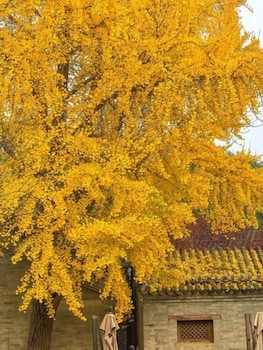 manxin mansion beijing shichahai park nanluoguxiang