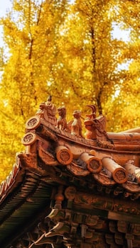 manxin mansion beijing shichahai park nanluoguxiang