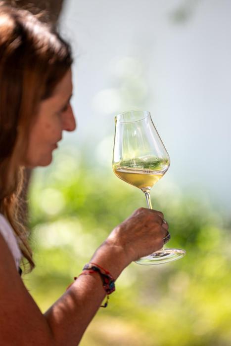 boutique hotel bodega ciclo andino