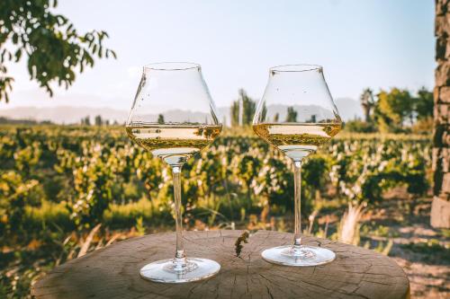 boutique hotel bodega ciclo andino