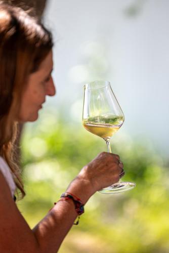 boutique hotel bodega ciclo andino