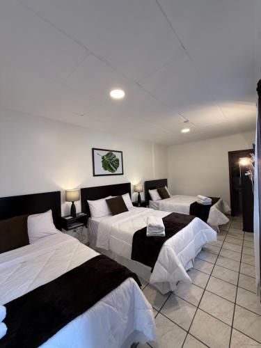 hotel nass del sur