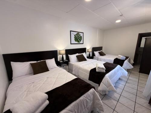hotel nass del sur