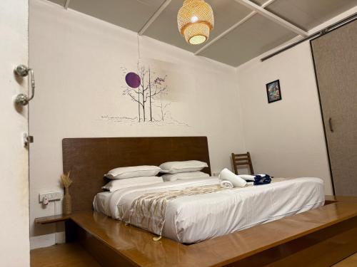 anexx goa