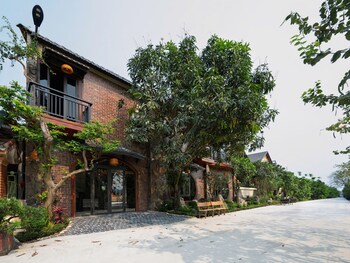 hoa lu