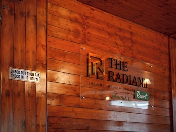 the radiant resort manali