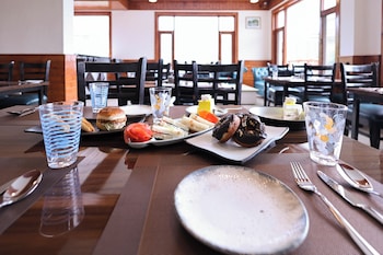 the radiant resort manali