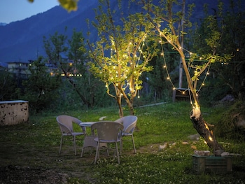 the radiant resort manali