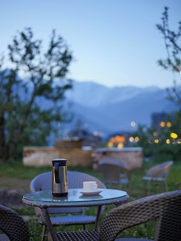 the radiant resort manali