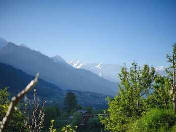 the radiant resort manali