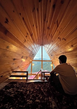 the woodshed