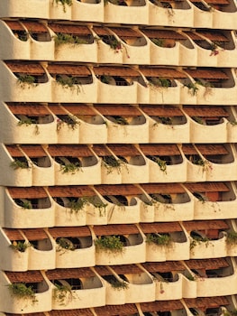 ibala hotel and spa