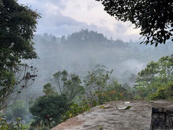 watawala tea plantation bungalow