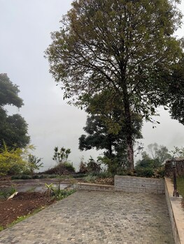 watawala tea plantation bungalow