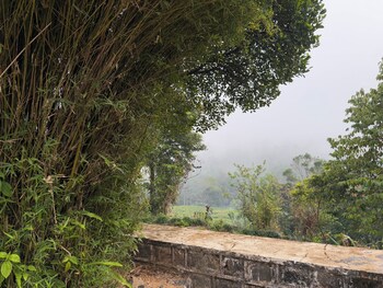 watawala tea plantation bungalow