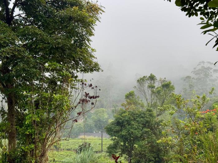 watawala tea plantation bungalow