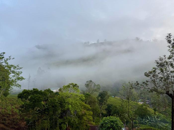 watawala tea plantation bungalow