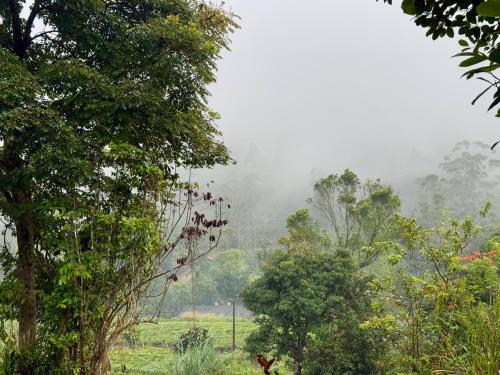 watawala tea plantation bungalow