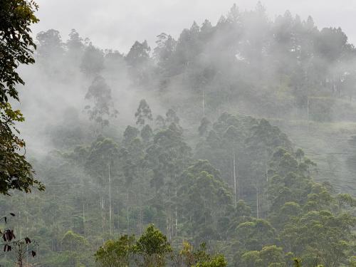 watawala tea plantation bungalow