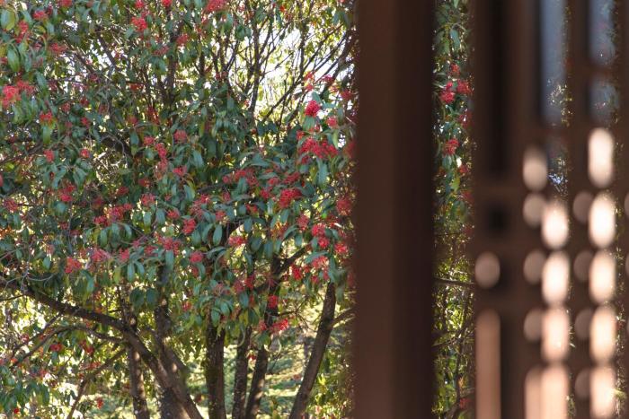 chinese style garden resort hotel