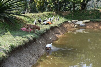 Wetland Homestay & Camping,,4 star