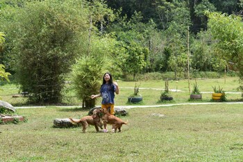 Wetland Homestay & Camping,,4 star