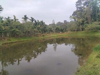 wetland homestay and camping