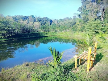 wetland homestay and camping
