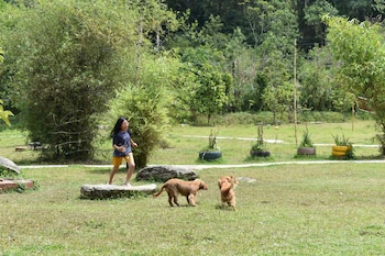 wetland homestay and camping