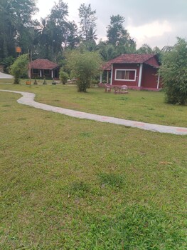 wetland homestay and camping