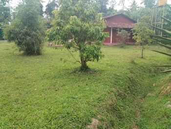 wetland homestay and camping