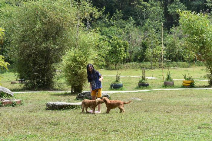 wetland homestay and camping